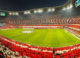 壹号娱乐网页版-桑德兰创新调整场地布局 针对性限制对手界外球战术优势