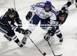 壹号娱乐网页版-陕西或江苏哪支队伍将晋级CBA总决赛？，陕西或江苏哪支队伍将晋级cba总决赛了