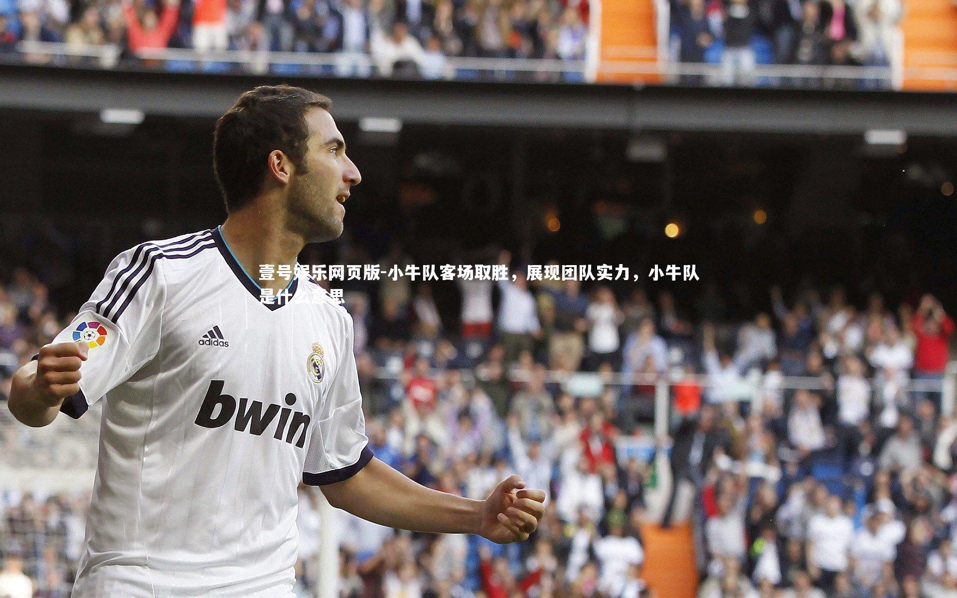 小牛队客场取胜，展现团队实力，小牛队是什么意思
