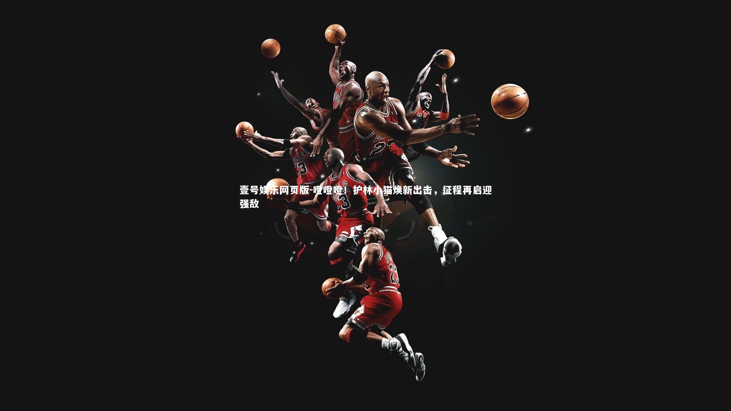 噔噔噔！护林小猫焕新出击，征程再启迎强敌